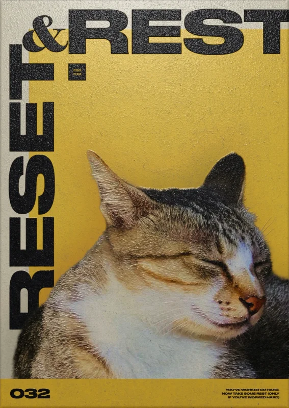 Rest & Reset