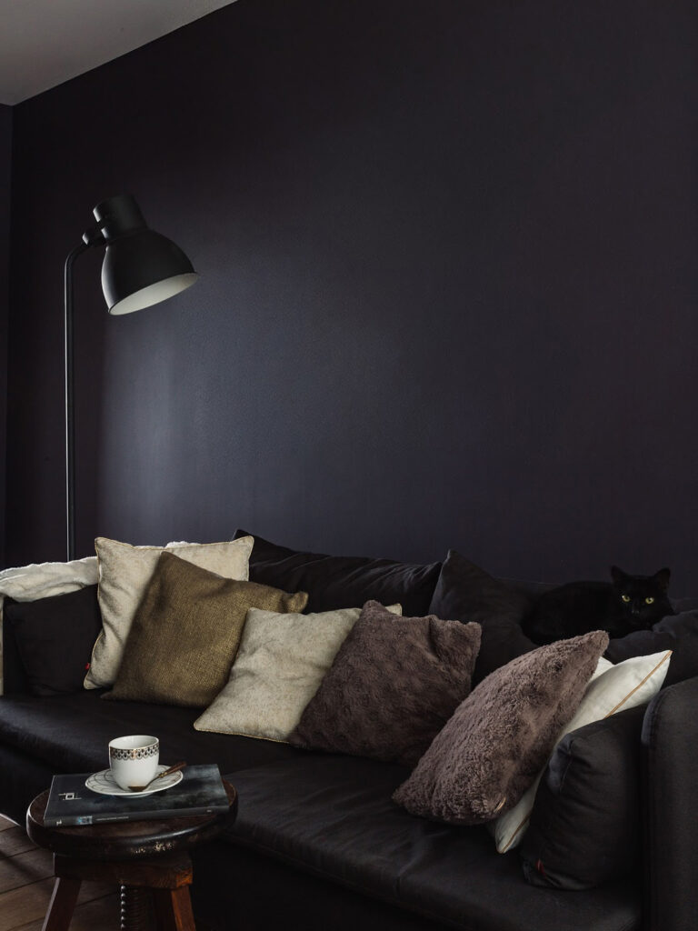 Dark mood living room with cat mockup
